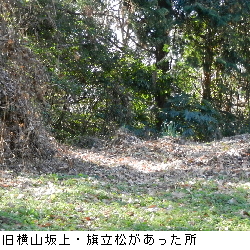 写真：旧横山坂上・旗立松のあったところ