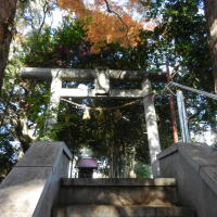 写真：大山祇神社（山の神神社）