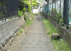 写真：野水堀跡（現在は暗渠化されている）