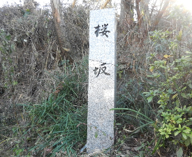 写真：桜坂地名標柱