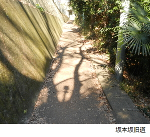 写真：坂本坂旧道