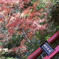 写真：藤野神社鳥居