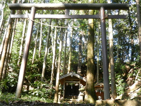 写真：春日神社のあった丘