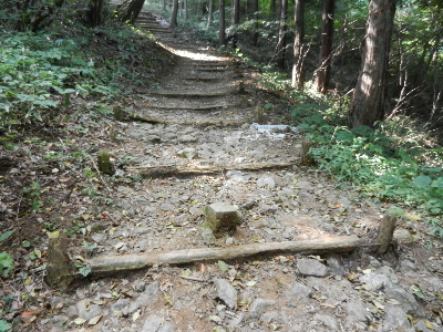 写真：界... 界標・周辺