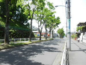 写真：廃線跡に沿って通る道路