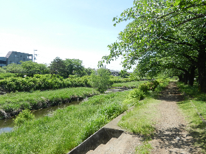 写真：浅川を越えていた箇所