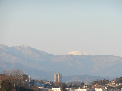 写真：町田市 小山田緑地-2015年01月
