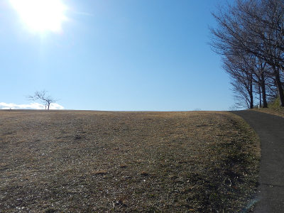 写真：町田市 小山田緑地-2013年02月