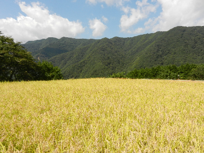 写真：相模原市緑区青根-2015年09月