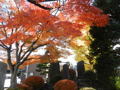 写真：相模原市緑区大島-2015年12月